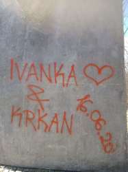 Photo of this report